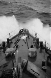 TGE01102022-243.jpg
