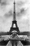 Bordfunker_-039.jpg