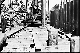 D04_11.jpg