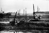 D11_02.jpg