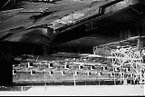 D14_27.jpg
