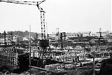 D17_08.jpg