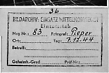 D21_32.jpg