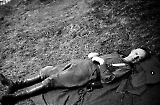 Filename=ida-053.jpg
Filesize=111KiB
Dimensions=1000x662
Date added=Jun 15, 2009 ida-053.jpg