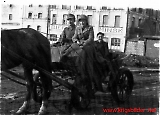 ida-113.jpg