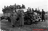 ida-126.jpg