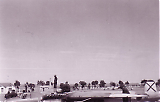 164.jpg