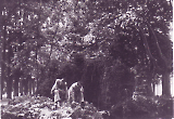 188.jpg