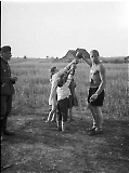 wiking-165.jpg