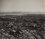 LWMN06082015-020.jpg
