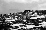 Gebj120413-065.jpg
