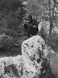 LW_Gressholmen_03072015_-_028.jpg