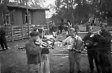 LW_Gressholmen_03072015_-_077.jpg