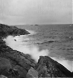 TGE240921-144.jpg