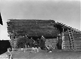 21ID-011115-072.jpg