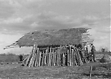 21ID-011115-073.jpg
