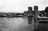 Filename=TGE23012020-_066.jpg
Filesize=245KiB
Dimensions=1100x709
Date added=Jan 26, 2020 TGE23012020-_066.jpg