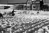 Filename=TGE23012020-_241.jpg
Filesize=321KiB
Dimensions=1100x754
Date added=Jan 26, 2020 TGE23012020-_241.jpg