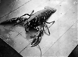 Filename=TGE23012020-_346.jpg
Filesize=308KiB
Dimensions=1100x807
Date added=Jan 26, 2020 TGE23012020-_346.jpg