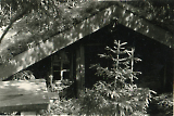 10-01.JPG