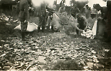 43-04.JPG