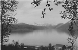 IR340-II068.jpg