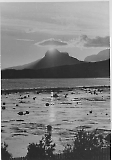 Filename=IR340-II072.jpg
Filesize=123KiB
Dimensions=565x800
Date added=Jun 18, 2009 IR340-II072.jpg