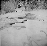 IR340-II130.jpg