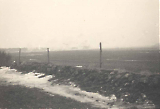 TGE017062007-220.jpg