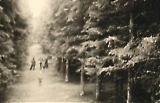 TGE017062007-251.jpg