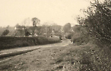 TGE017062007-252.jpg