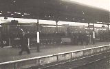 TGE017062007-261.jpg