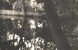 TGE017062007-266.jpg