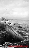 Filename=199.jpg
Filesize=249KiB
Dimensions=613x1000
Date added=Nov 27, 2012 199.jpg