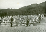 Friedhof_Narvik044.jpg