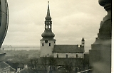 Filename=Polenfeldzug005.jpg
Filesize=452KiB
Dimensions=1000x644
Date added=Feb 08, 2015 Polenfeldzug005.jpg