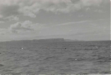 KM29022020-032.jpg