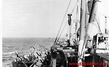LW-Vaernes055.jpg