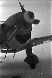 LW30052017-017.jpg