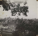 LWFL30012020-019.jpg