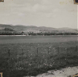 LWFL30012020-020.jpg