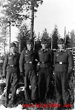 LWskogfoss109.jpg