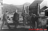 lntrondelag40.jpg