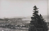 TGE19122019-059.jpg