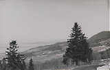 TGE19122019-060.jpg