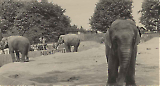 TGE19122019-118.jpg
