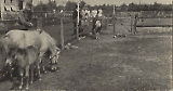 TGE19122019-119.jpg