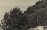 TGE19122019-126.jpg