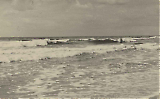 TGE19122019-128.jpg
