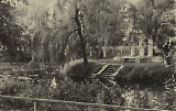 TGE19122019-130.jpg
